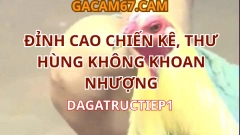 ĐÁ GÀ TRỰC TIẾP CPC2 – ĐỈNH CAO CHIẾN KÊ, THƯ HÙNG KHÔNG KHOAN NHƯỢNG