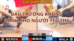 ĐẤU TRƯỜNG KHÔNG DÀNH CHO NGƯỜI YẾU TIM