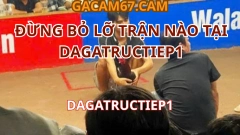 XEM ĐÁ GÀ TRỰC TIẾP HÔM NAY – ĐỪNG BỎ LỠ TRẬN NÀO TẠI DAGATRUCTIEP1